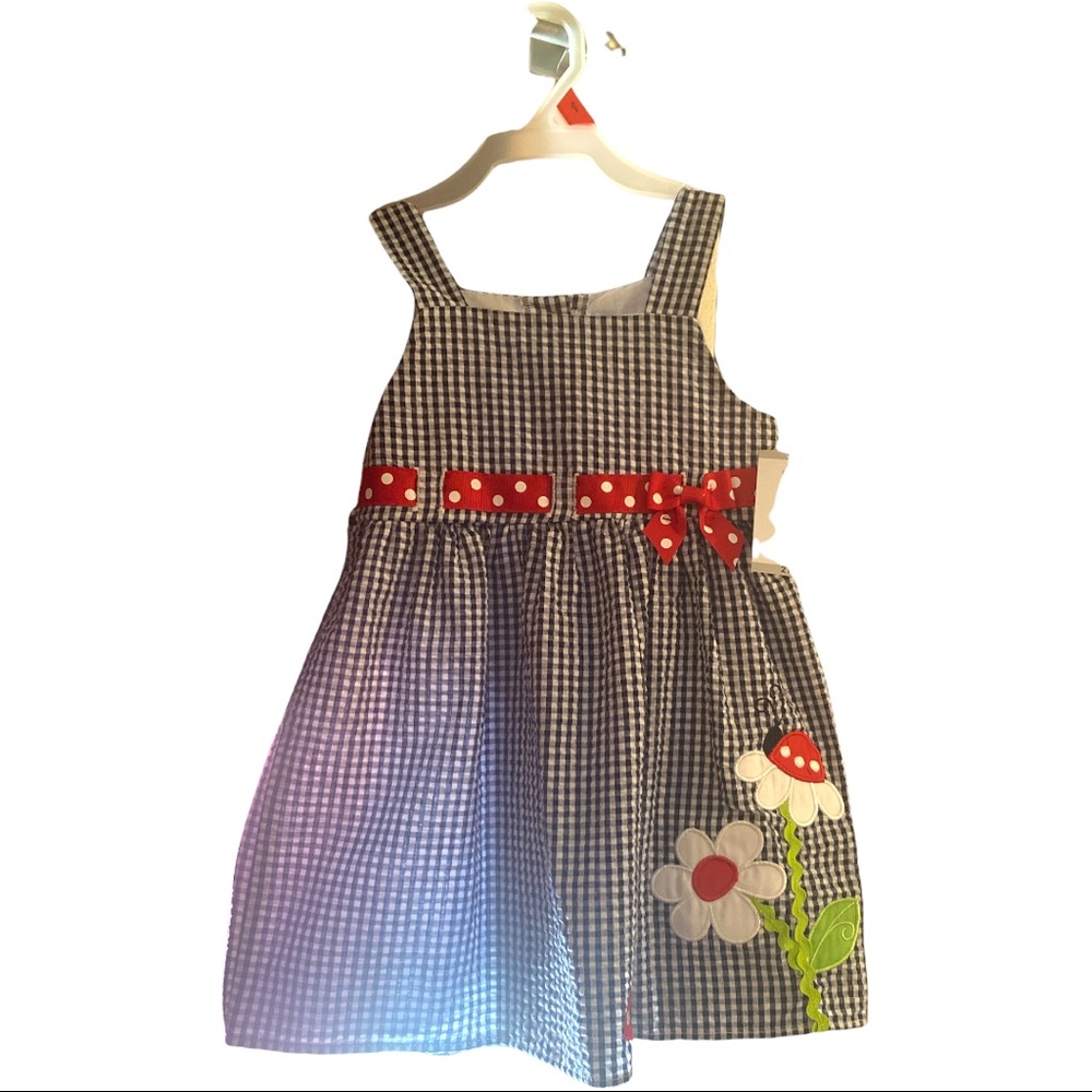 Emily Rose Toddler Dress